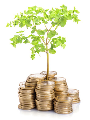 Pflanze aus Münzen - Symbol für grüne Fonds