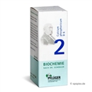 Biochemie 2 Calc Phos D 6, 100 Stück