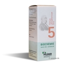 Biochemie 5 Kal Phos D 6, 100 Stück
