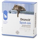 Droncit Spot On Pipetten, 4x0,5 ml