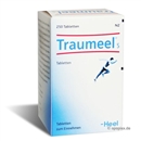 Traumeel S Tabletten, 250 Stück